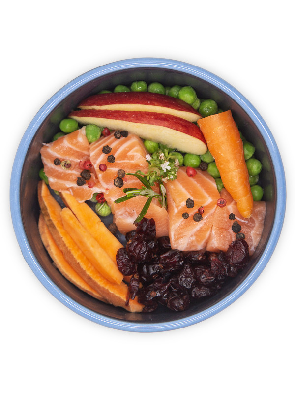 PI Healthy and Shiny Coat meal PI Healthy and Shiny Coat meal