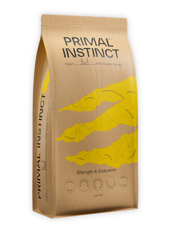 PI Strength and Endurance PI Strength and Endurance