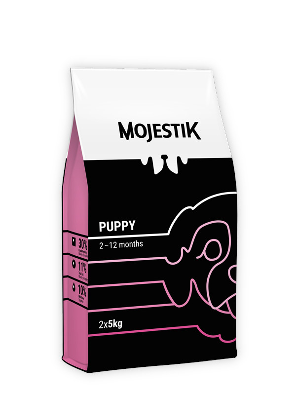 mojestik puppy mojestik puppy